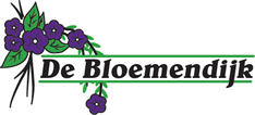 De Bloemendijk