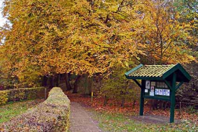 Staelduinse bos